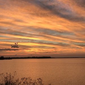 Meet your Posher, Cheyenne